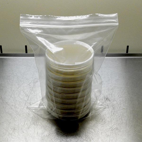 Antibiotischer Malzextrakt-Agar - Nährboden in Petrischalen - 90x14 (mm)