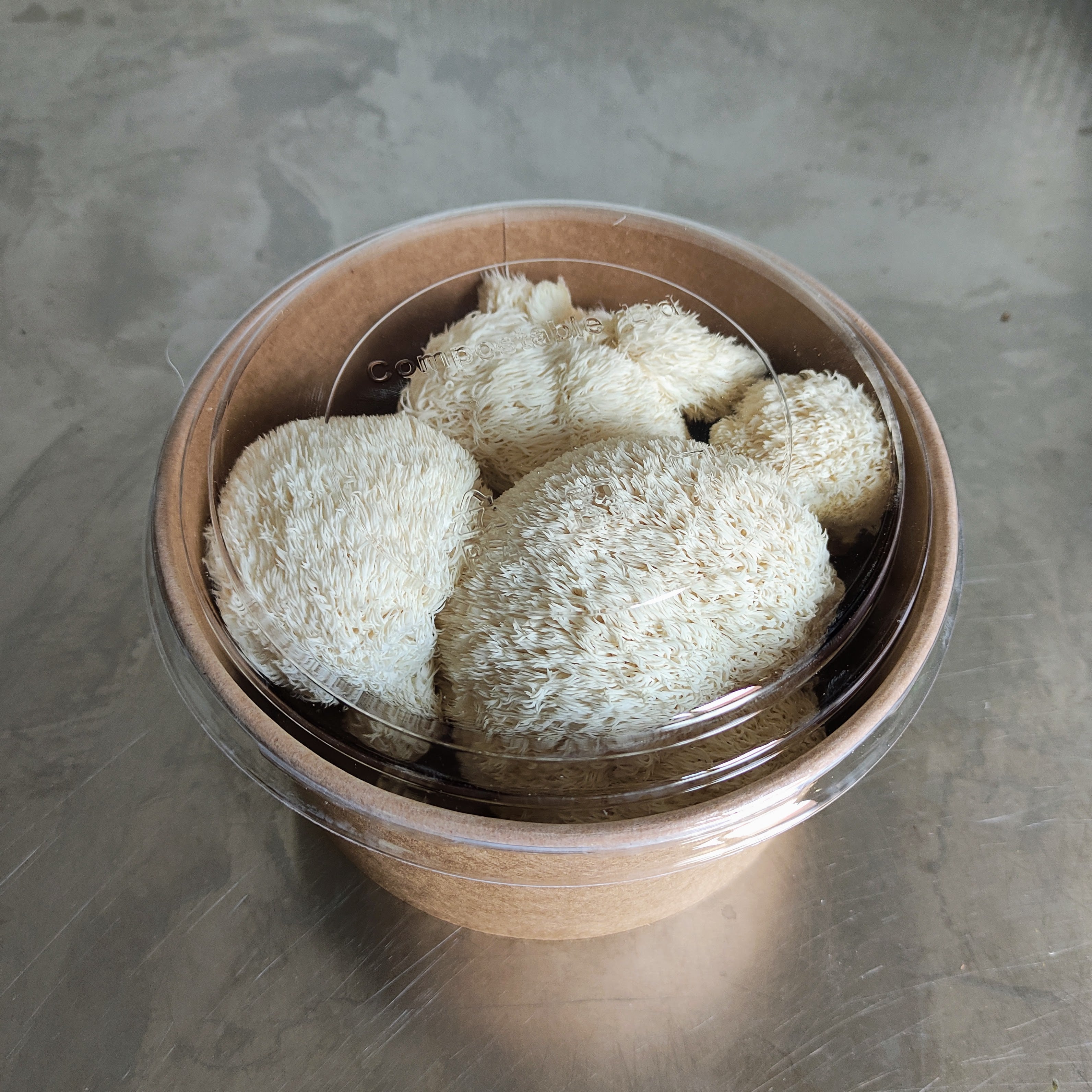 Igelstachelbart verkaufsfertig in der Pappschale zu 200 g.