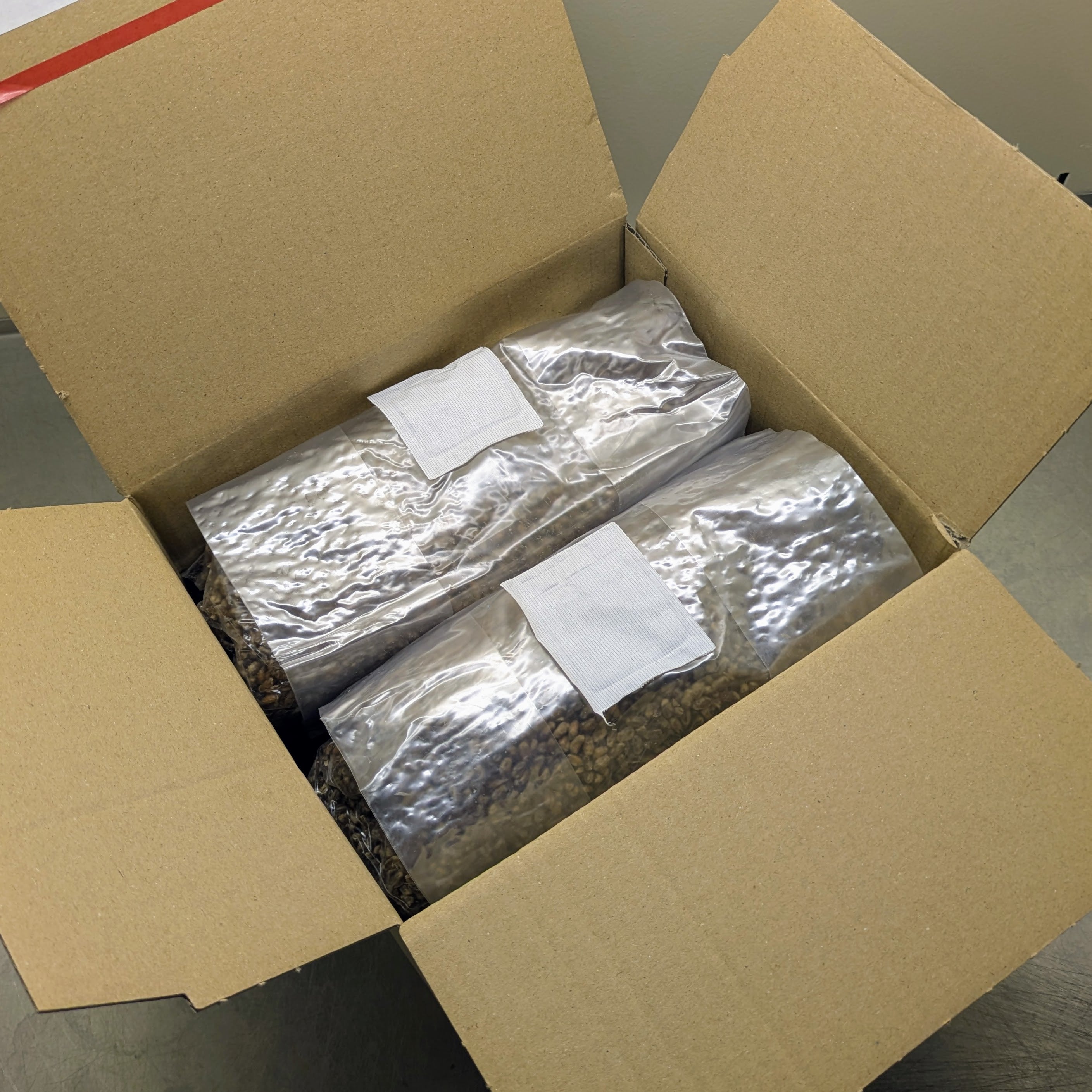 Pilzbrut-Substrat - 2 Liter im Mikrofilterbeutel