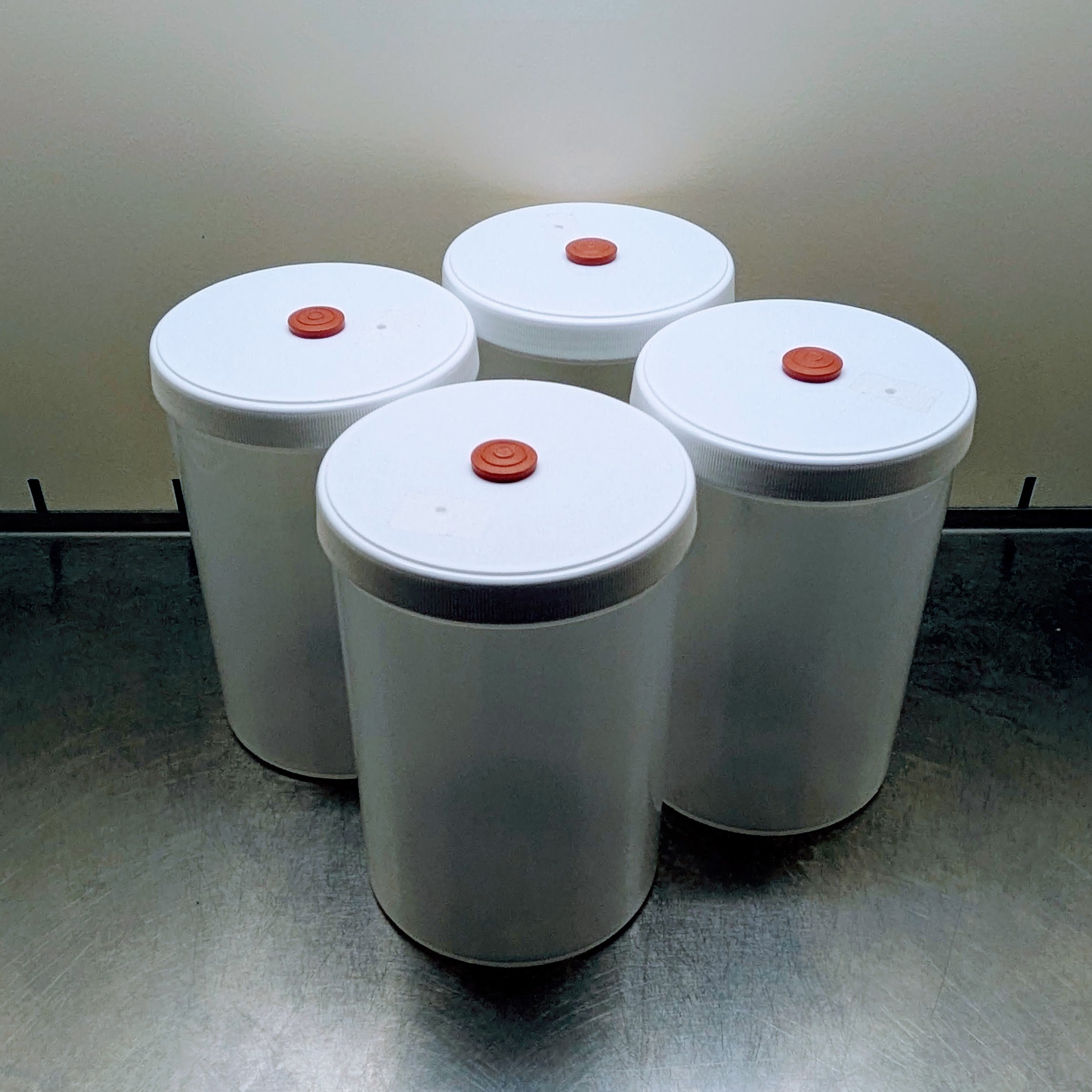 4x Mycotainer 1200 ml - PF-Tek Dose