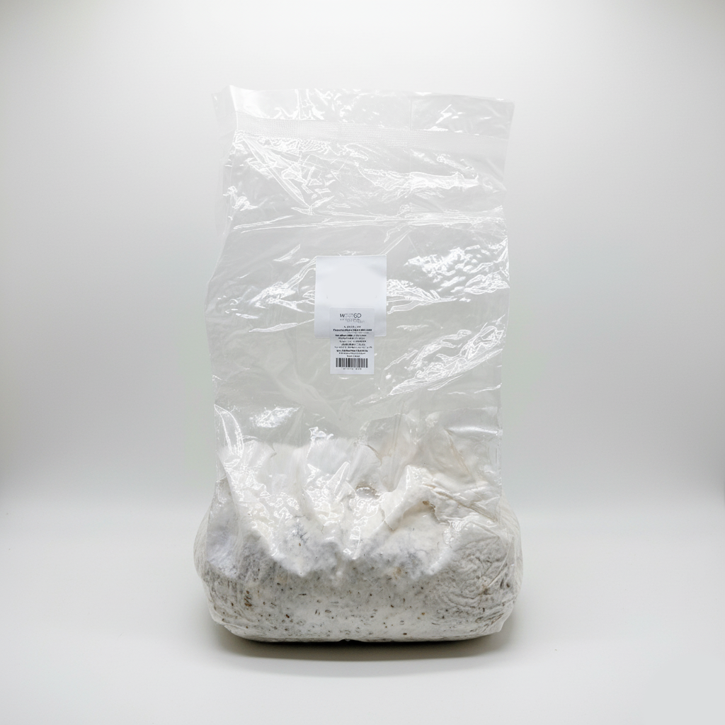 Pilzbrut Austernseitling (Pleurotus ostreatus) - 2 Liter