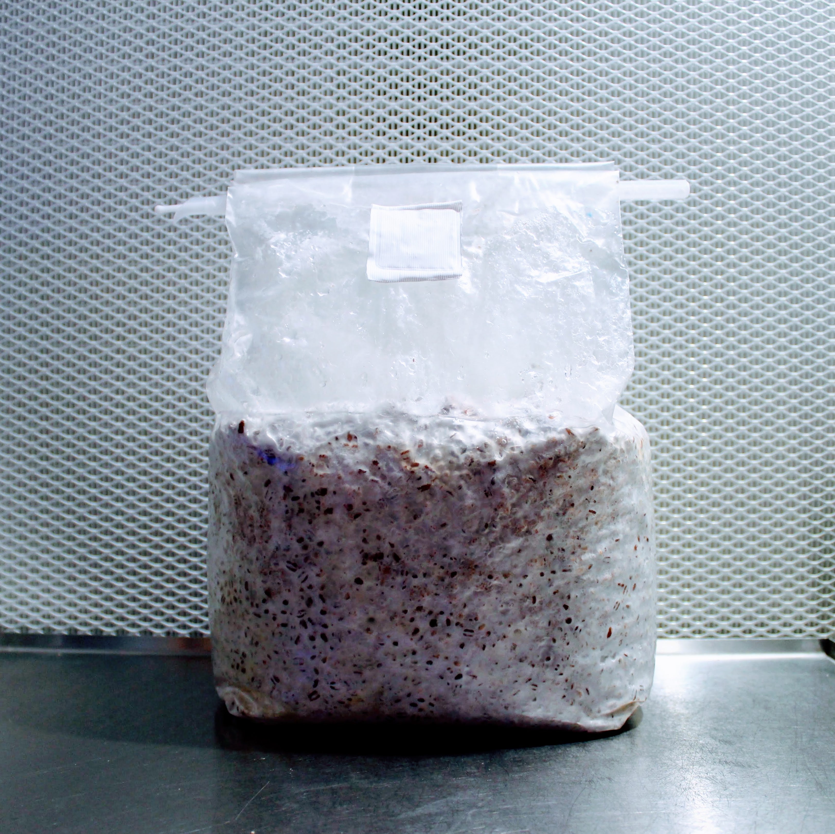 Mikrofilterbeutel für Pilzbrut und Pilzsubstratproduktion