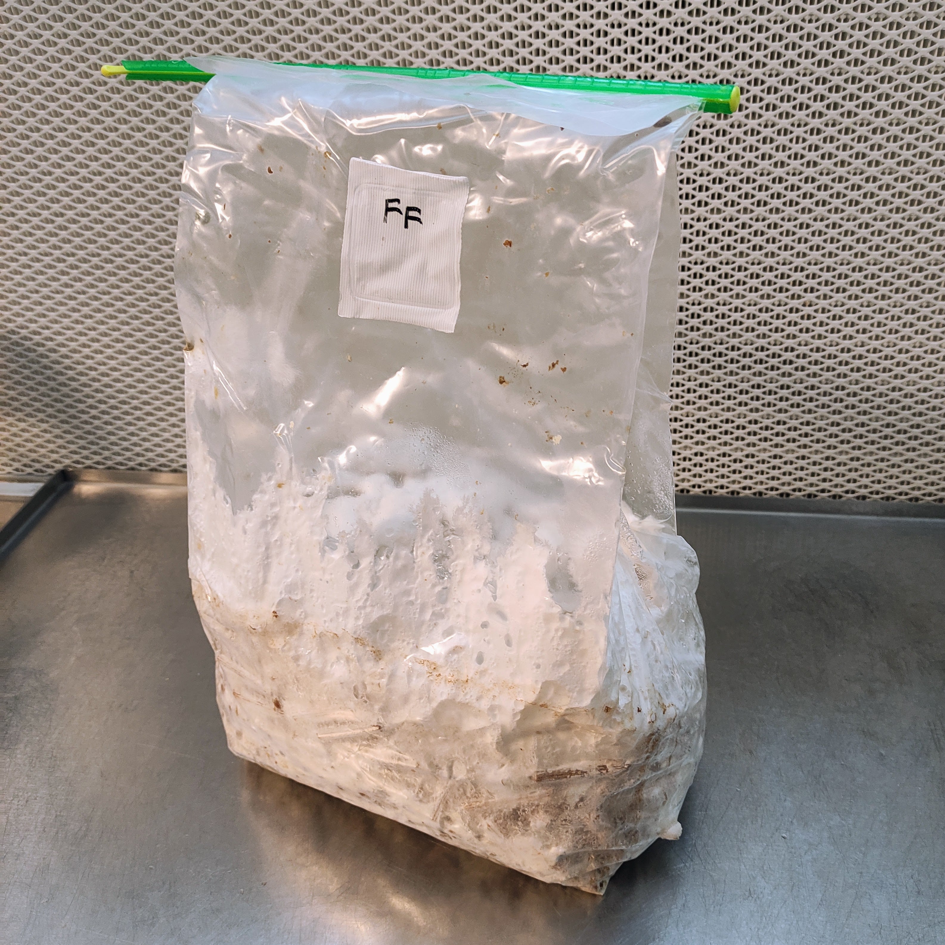 Mikrofilterbeutel für Pilzbrut - Autoclave Bags mit 0,2 µm Filter (3T)